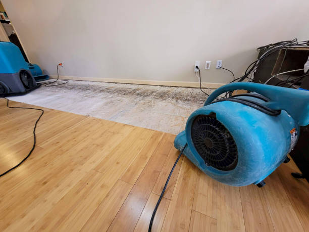 Professional Sewage Cleanup technician working in Taylor, AZ